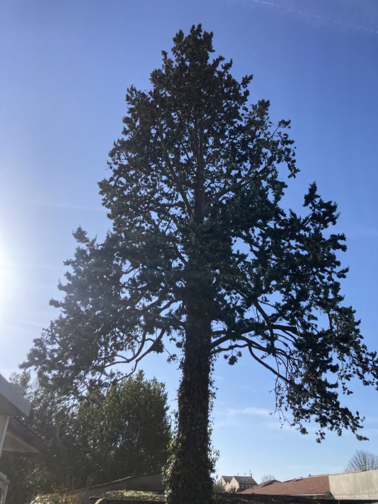 Réalisations JBlagage