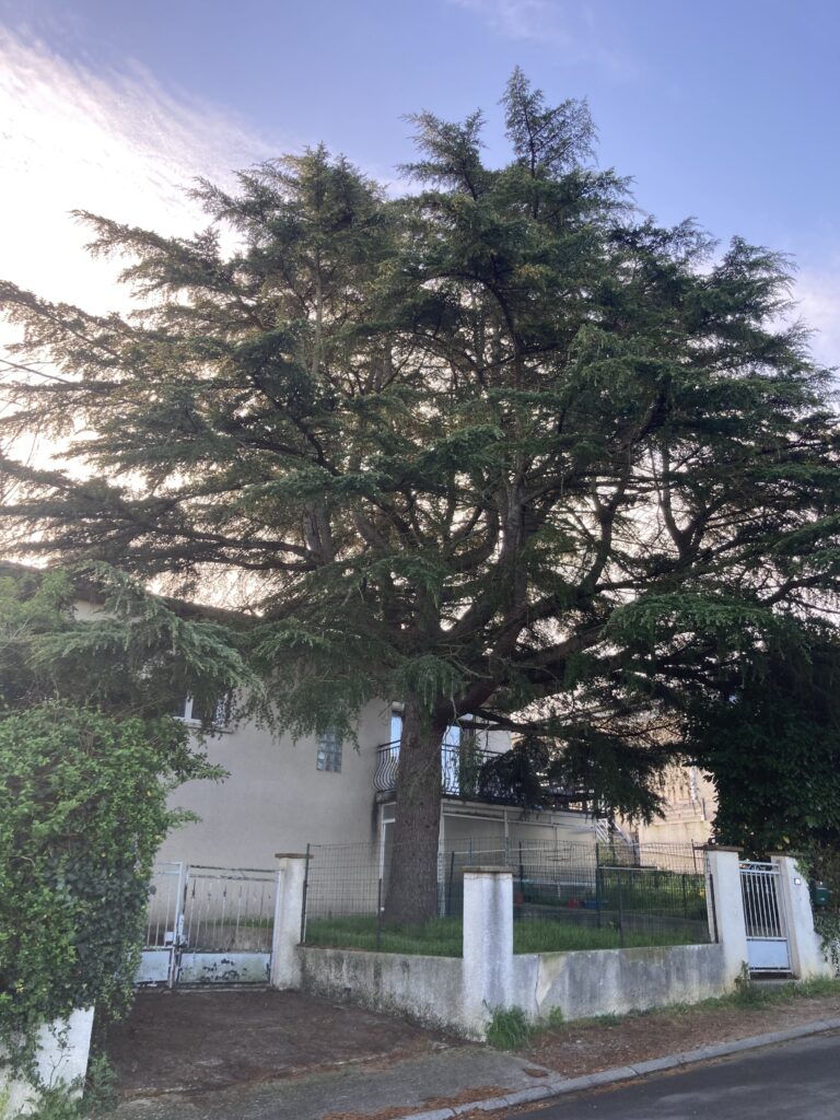 Réalisations JBlagage