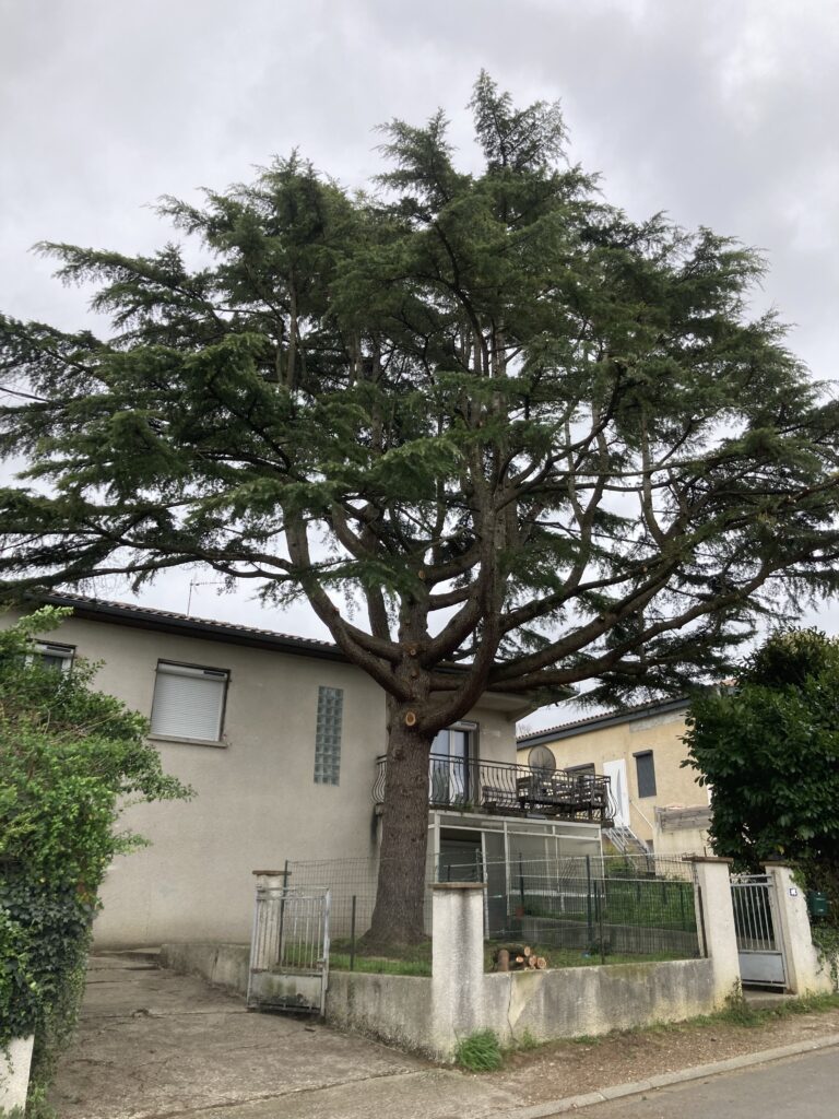 Réalisations JBlagage