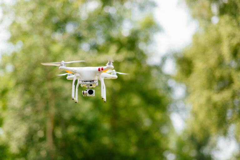 Récupération drones arbres