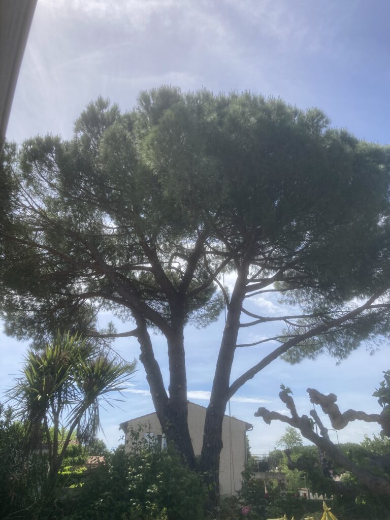 Pin parasol après
